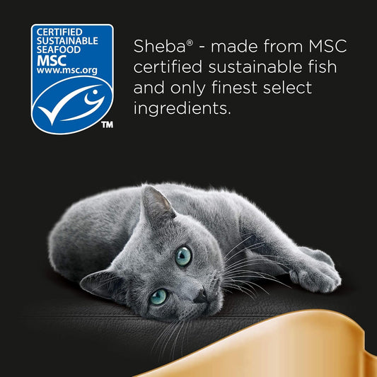 Sheba Classics Adult Cat Food Tray with Salmon in Terrine 8 x 85g (Pack of 4)