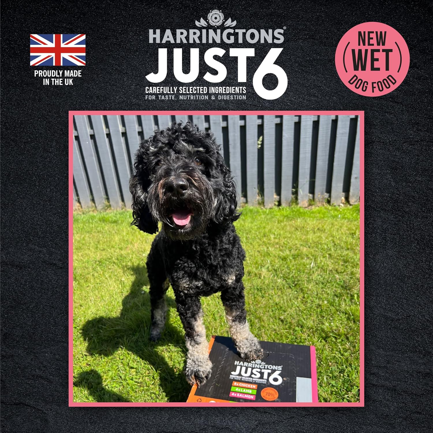 Harringtons Just 6 Wet Dog Food Multi Pack Trays 16 x 380g (Pack of 1)