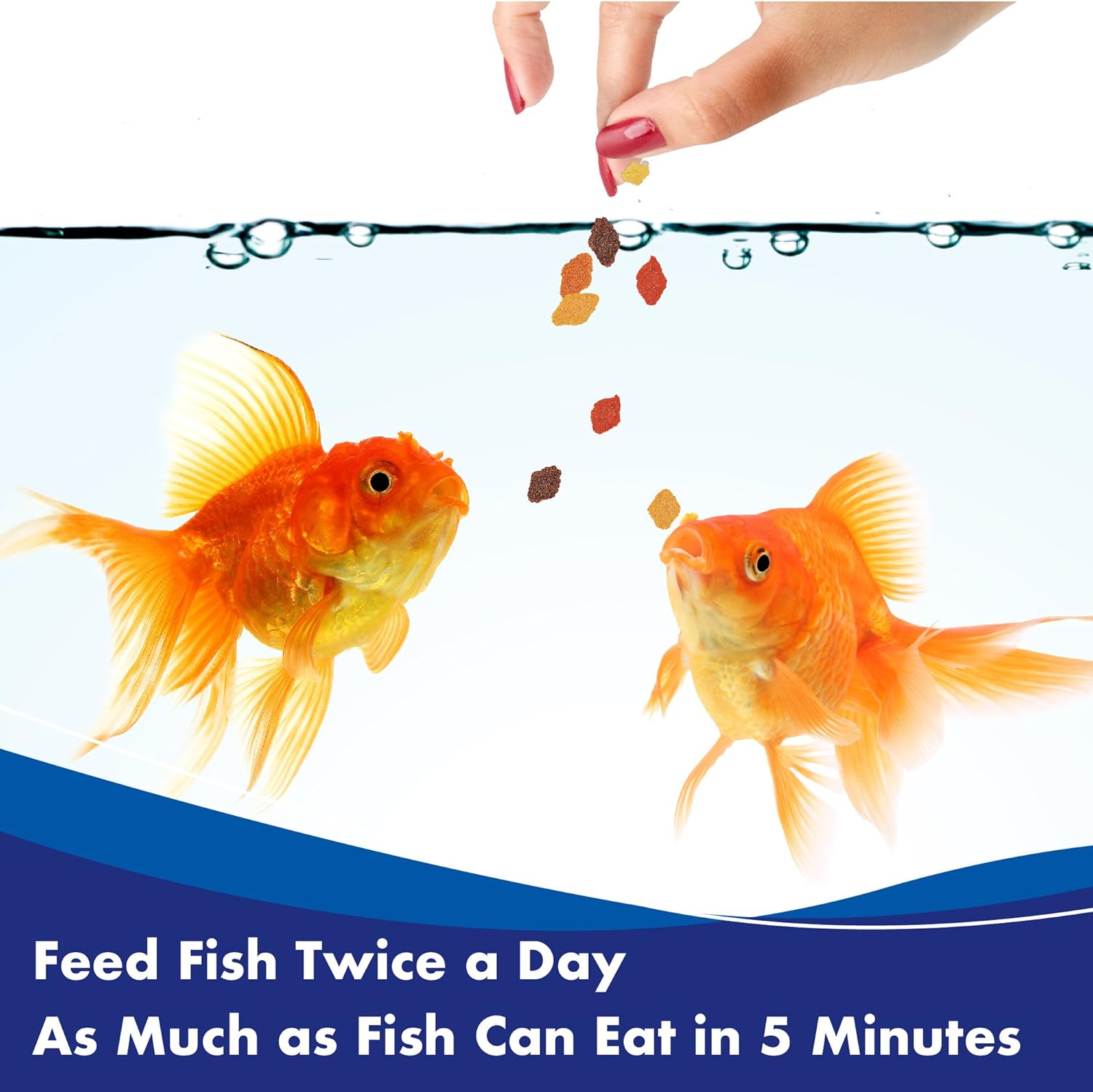 Aquarian Goldfish Food Flakes