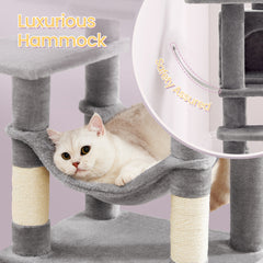 Cat Trees & Scratching Post