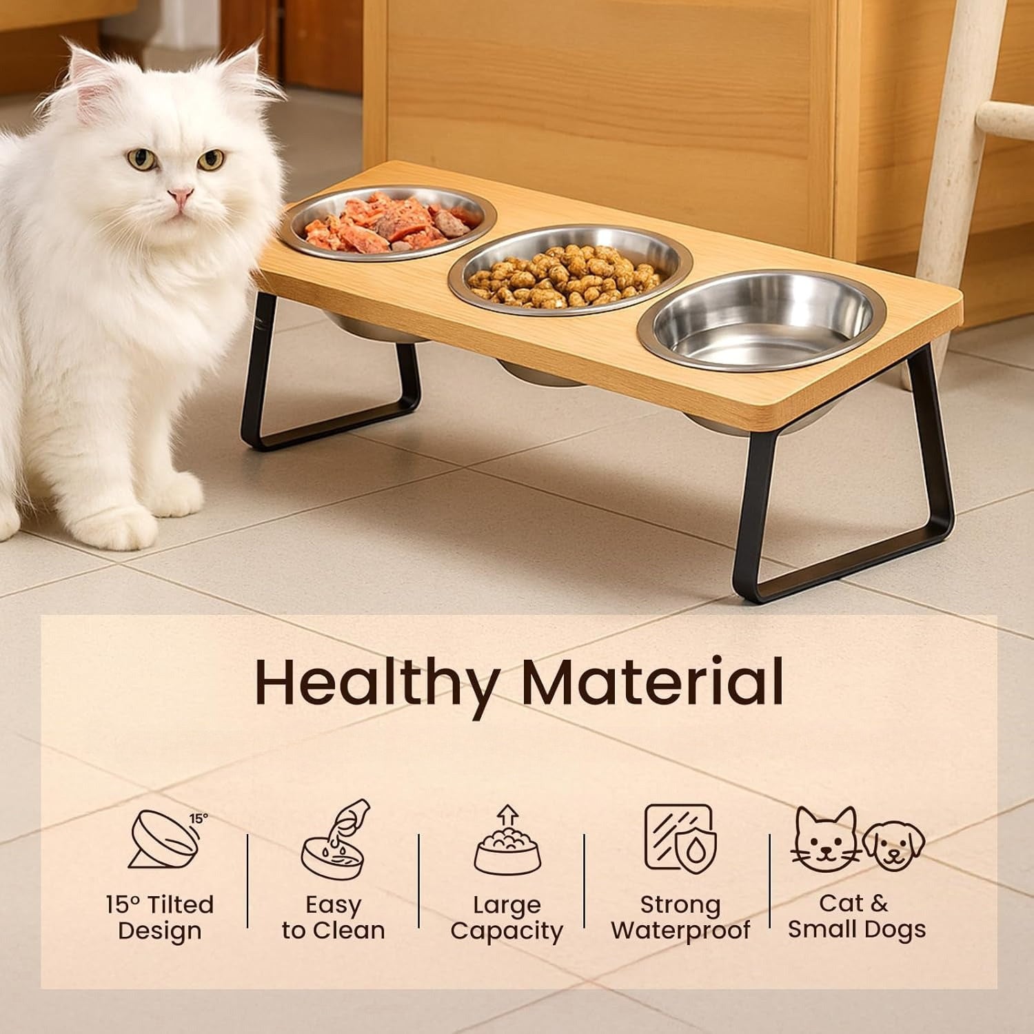 Dog Bowls & Accessories