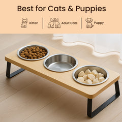 Dog Bowls & Feeders