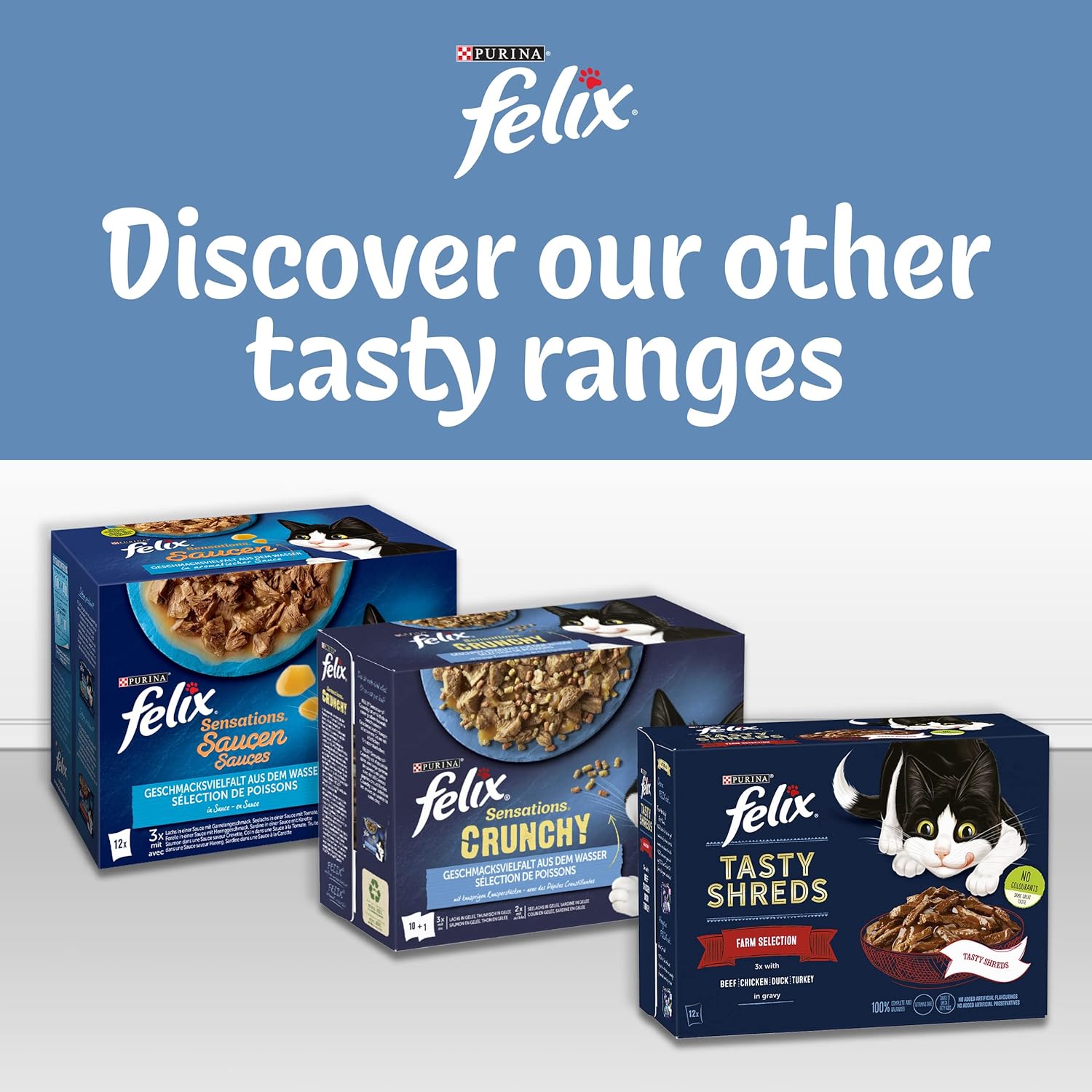 FELIX Original Fish Selection in Jelly Cat Food 12x85g (Pack of 1) - Hungry Tails