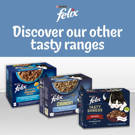 FELIX Original Fish Selection in Jelly Cat Food 12x85g (Pack of 1) - Hungry Tails
