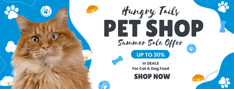 Summer sale offer