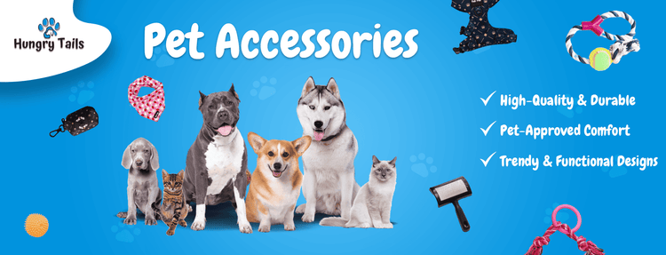 "Pet grooming tools – Brushes, nail clippers, and more"