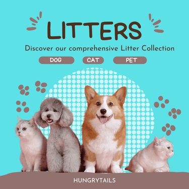 Biodegradable pet litter – Eco-friendly solutions for cats and dogs