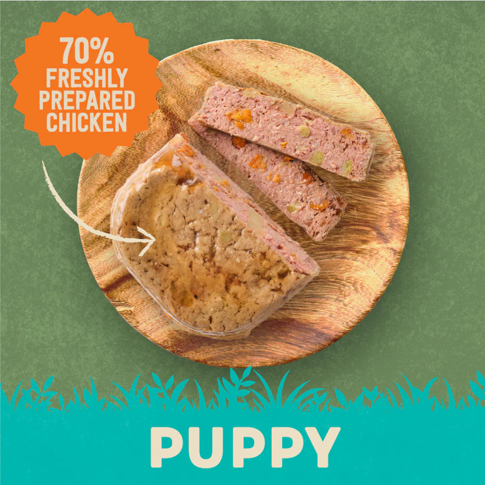 Harringtons Chicken with Potato & Vegetables Wet Puppy Food Tray 380g (Pack of 8)