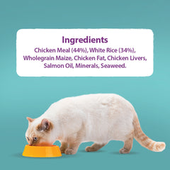 Burns Kitten Chicken & Rice 1.5Kg (Pack o f 1)