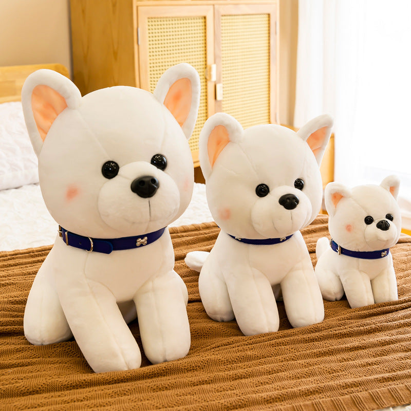 Cute Puppy Plush Doll Cartoon Pomeranian Dog Doll Girl Creative Pillow Toy Room Decoration