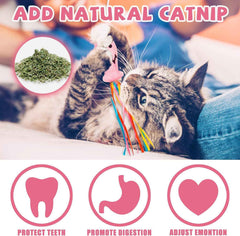 shop premium organic catnip for cats